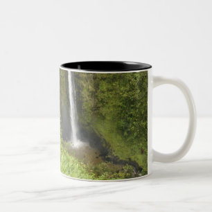 Akaka Falls, Hamakua Coast, Island of Hawaii, Two-Tone Coffee Mug