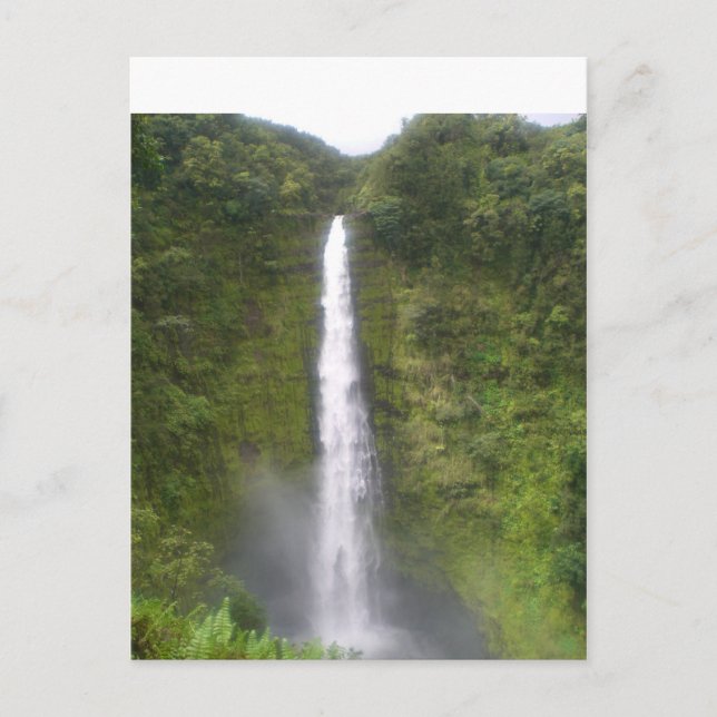 Akaka Falls Hilo, Hawaii Postcard (Front)
