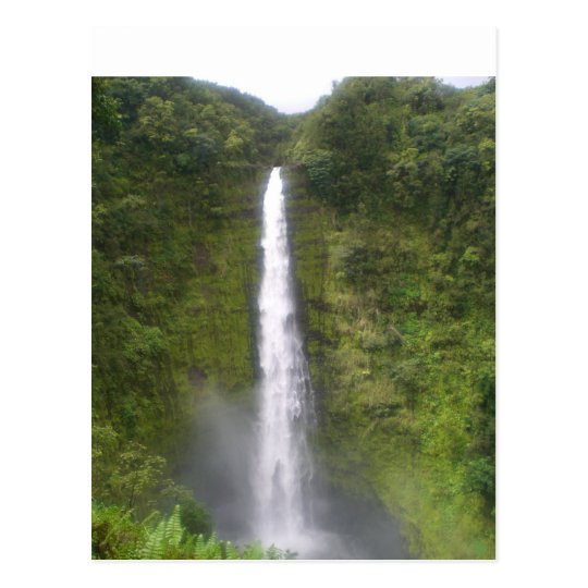 Akaka Falls Hilo, Hawaii Postcard