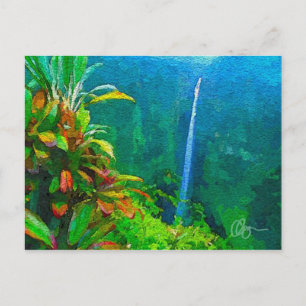 Akaka Falls Postcard