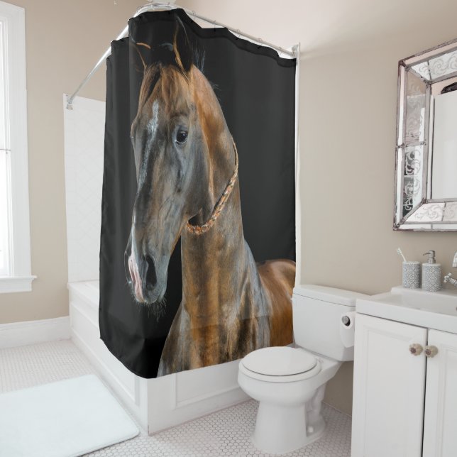 Akhal-Teke Horse Shower Curtain (In Situ)