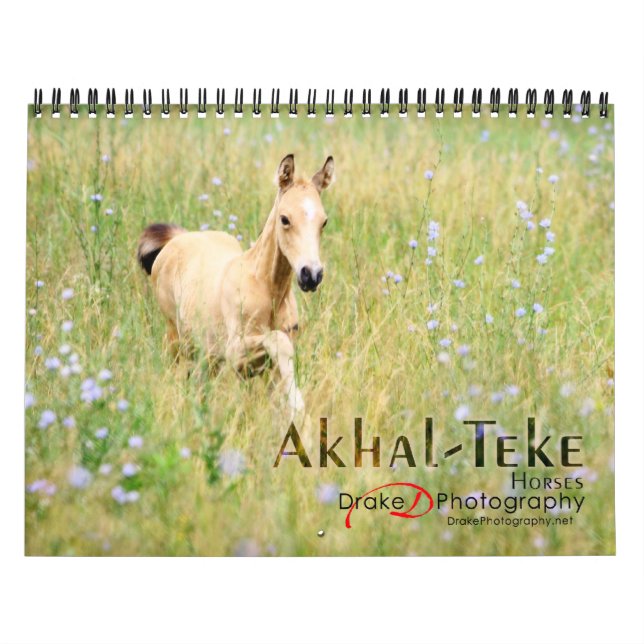 Akhal-Teke Horses 2 Calendar (Cover)