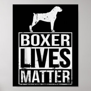 Akiras Fudoboxer Live S Awareness  Poster