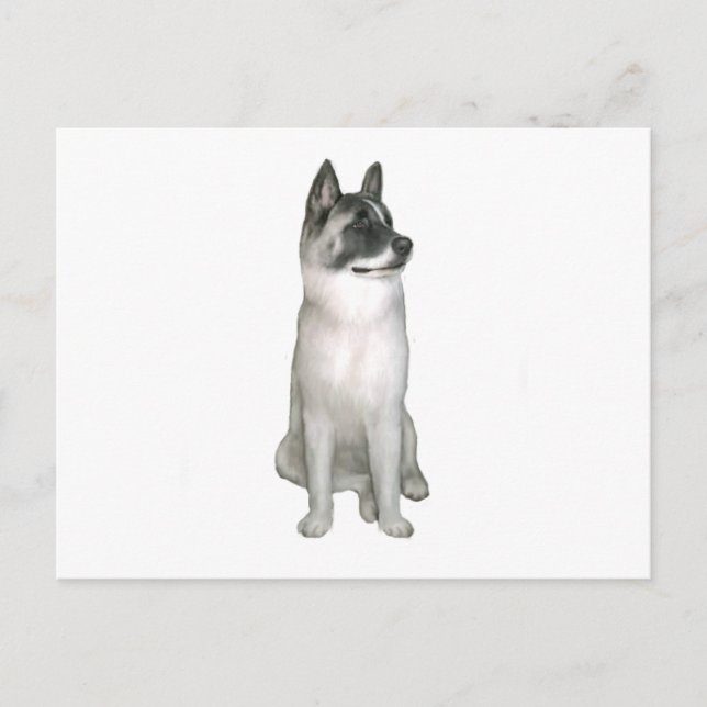 Akita (A) - (black mask) Postcard (Front)