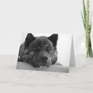 Akita Card