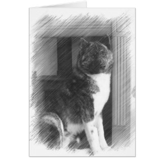 Akita Cards