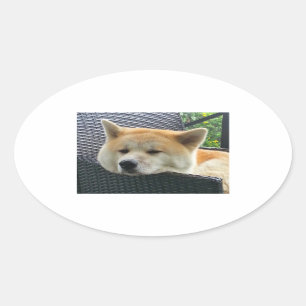 akita-chilling.png oval sticker