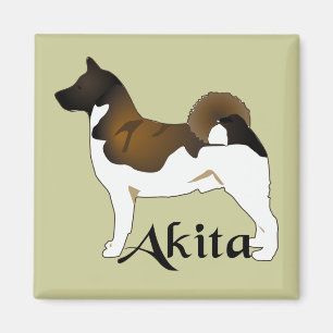 Akita, Detailed Magnet