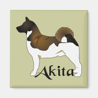 Akita, Detailed Magnet