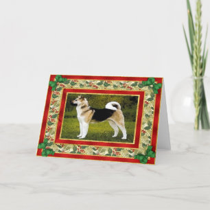 Akita Dog Blank Christmas Card
