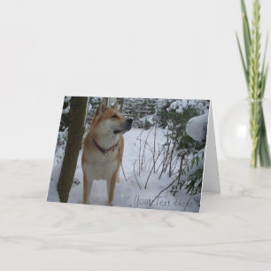 akita dog in the snow covered garden christmas holiday card