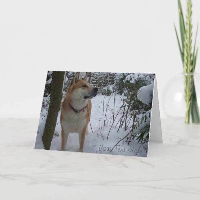 akita dog in the snow covered garden christmas holiday card (Front)