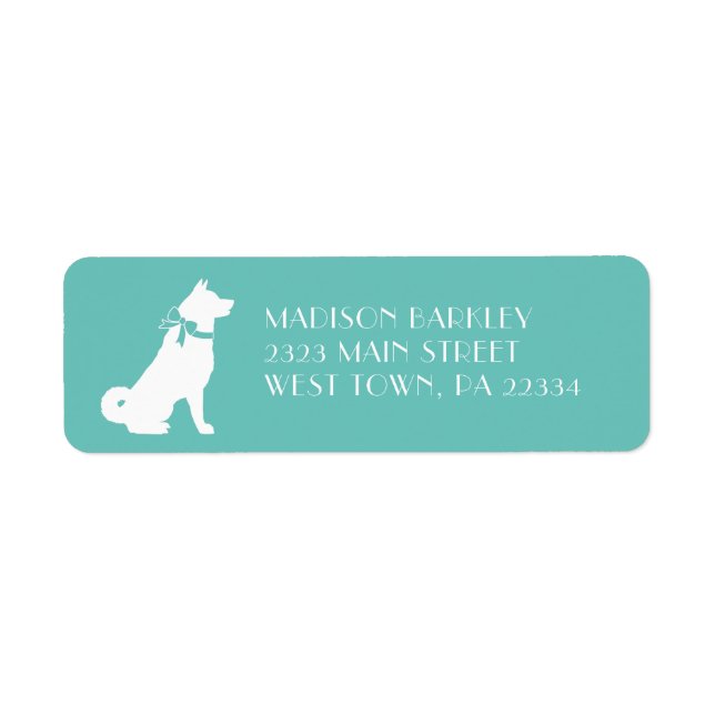 Akita Dog Puppy (Front)