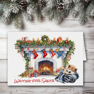 Akita Dog Wait for Santa
