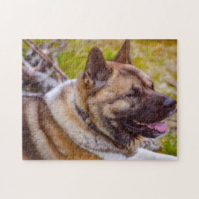 Akita Dogs. Jigsaw Puzzle (Horizontal)