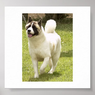 akita full 2.png poster