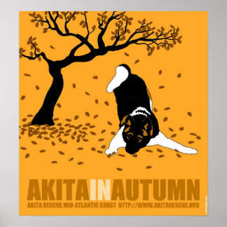 Akita in Autumn (18" x 19.5") Poster