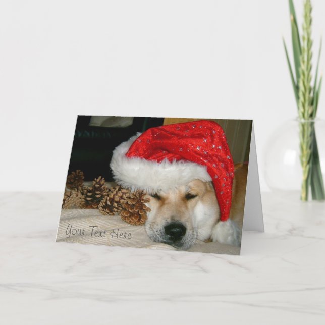 akita in red santa hat and cones for christmas holiday card (Front)
