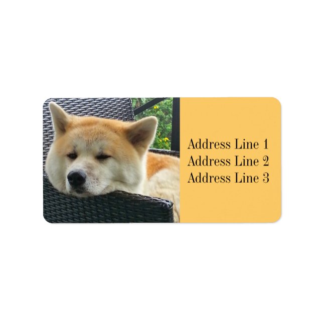 Akita Photo Address Label (Front)