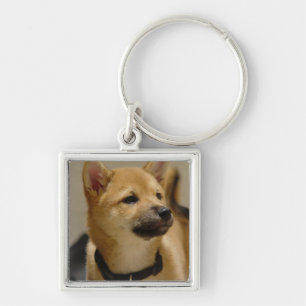 Akita Pictures Keychain