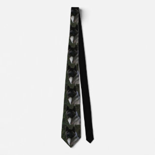 akita pinto black mask tie