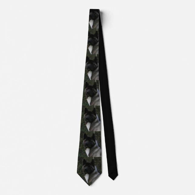 akita pinto black mask tie (Front)