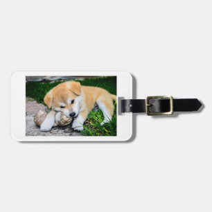 akita red puppy with toy luggage tag