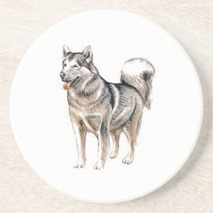 Akita Sandstone Coaster