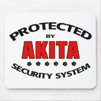 Akita Security System