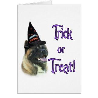 Akita Trick