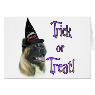 Akita Trick