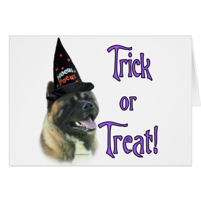 Akita Trick (Front Horizontal)