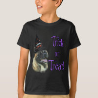 Akita Trick