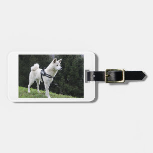 akita white colours luggage tag