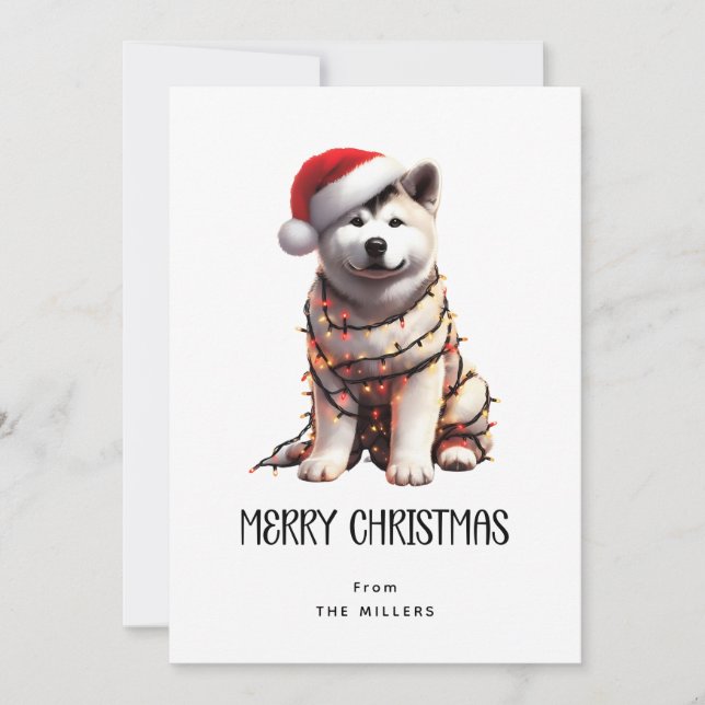 Akita Wrapped in Christmas Light Merry Christmas  Holiday Card (Front)