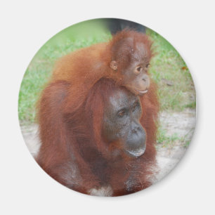 Akmad and Baby Boy Magnet