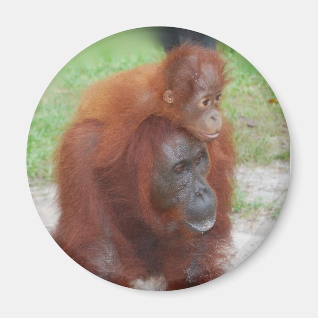 Akmad and Baby Boy Magnet (Front)