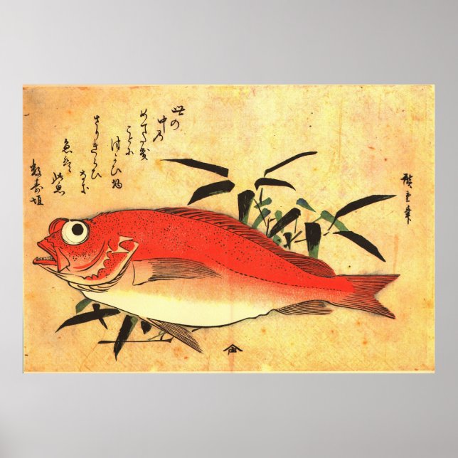 Akodai - Hiroshige's Colourful Japanese Fish Print (Front)