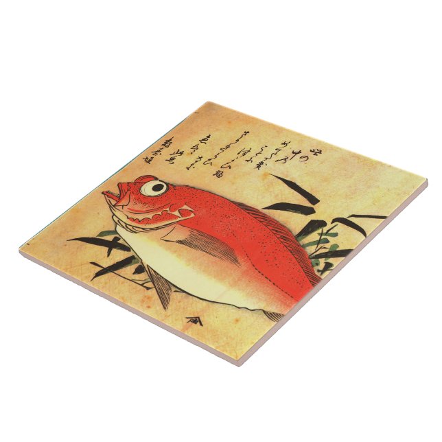 Akodai - Hiroshige's Colourful Japanese Fish Print Tile (Side)