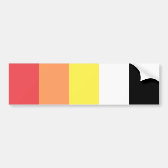 Akoisexual Akoiromantic Pride Bumper Sticker (Front)
