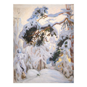 Akseli Gallen-Kallela - Forest in Winter Photo Print