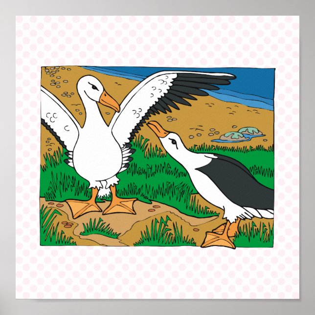 Al & Ally Albatross Poster (Front)
