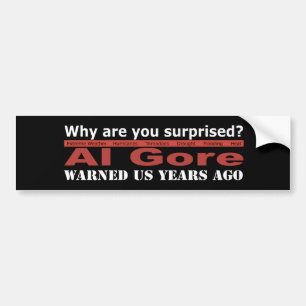 Al Gore Warned Us Bumper Sticker