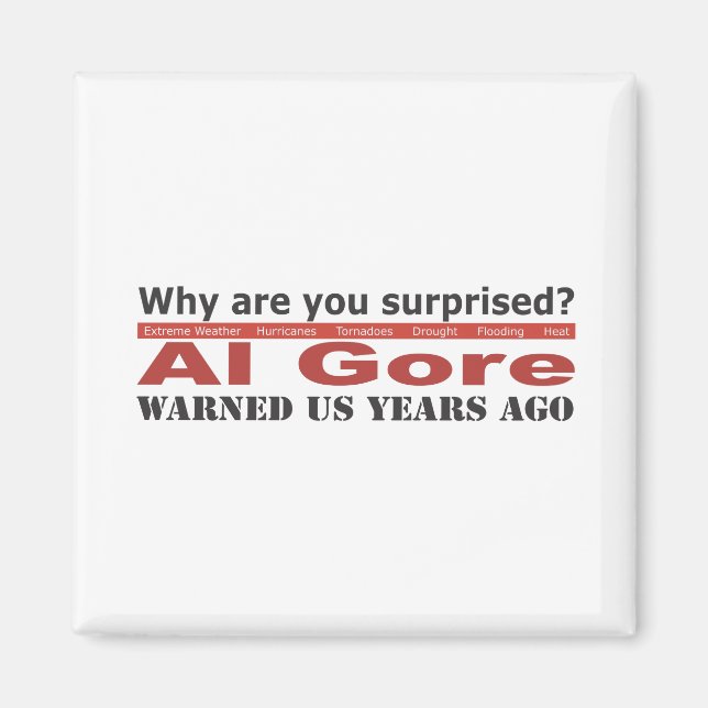 Al Gore Warned Us Magnet (Front)