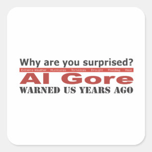 Al Gore Warned Us Square Sticker