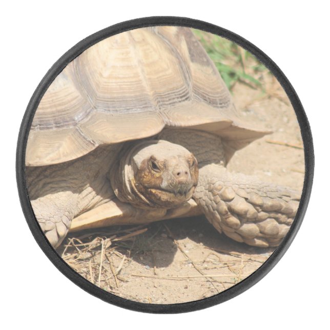 Ala aldabra hockey puck (Front)