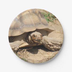Ala aldabra paper plate