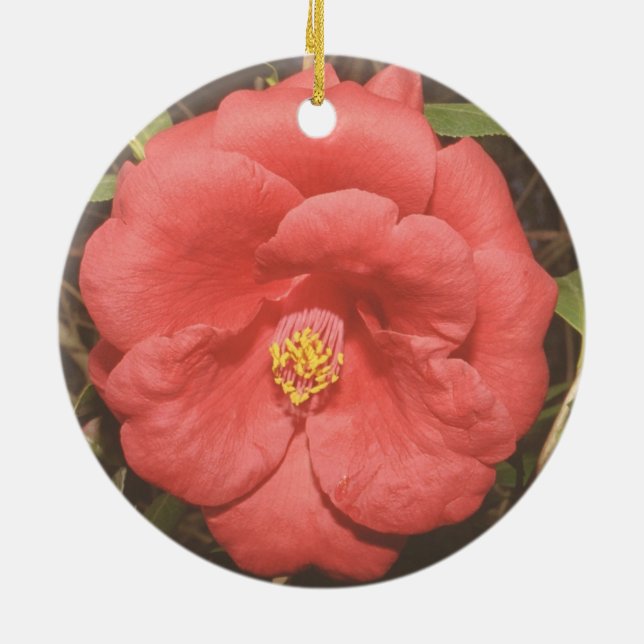Alabama Camellia (Red) Ceramic Tree Decoration (Back)