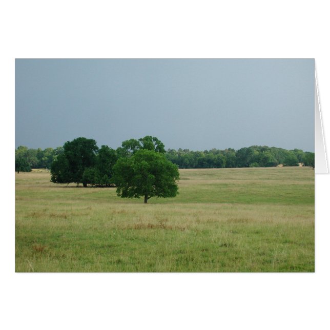 Alabama Landscape (Front Horizontal)