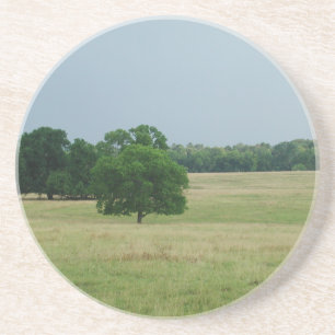 Alabama Landscape Coaster
